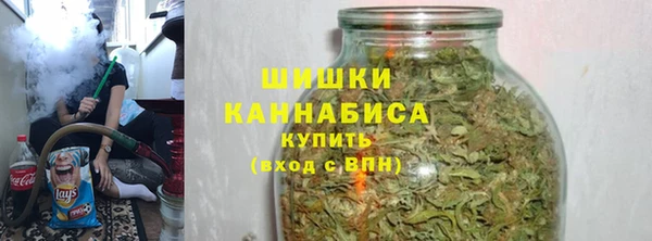 гидра Арсеньев