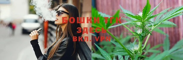 гидра Арсеньев