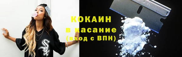 гидра Арсеньев