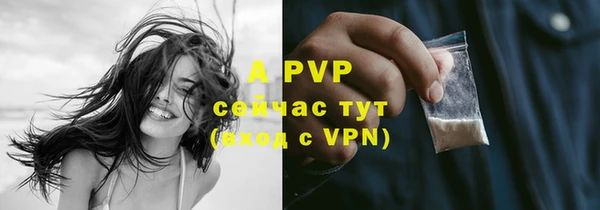 прущие грибы Сафоново