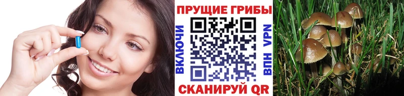 Псилоцибиновые грибы GOLDEN TEACHER  Липки 